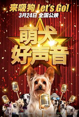 丝袜塞逼